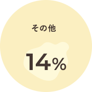 その他 12%