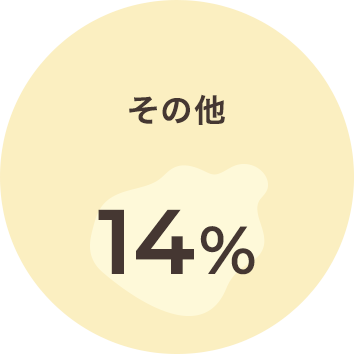 その他 12%