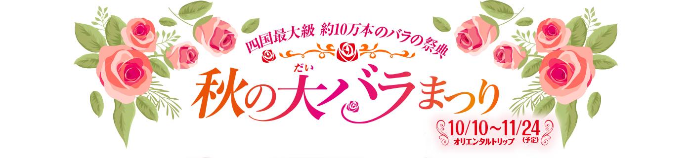 四国最大級 約10万本のバラの祭典 秋の大バラまつり 10/10～11/24（予定）オリエンタルトリップ