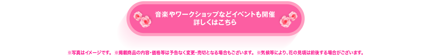 音楽やワークショップなどイベントも開催 詳しくはこちら