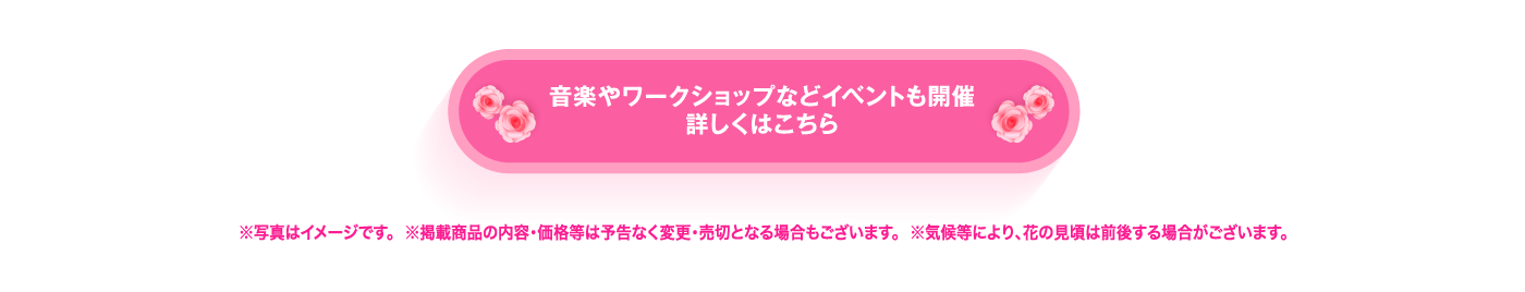 音楽やワークショップなどイベントも開催 詳しくはこちら ※写真はイメージです。 ※掲載商品の内容・価格等は予告なく変更・売切となる場合もございます。 ※気候等により、花の見頃は前後する場合がございます。