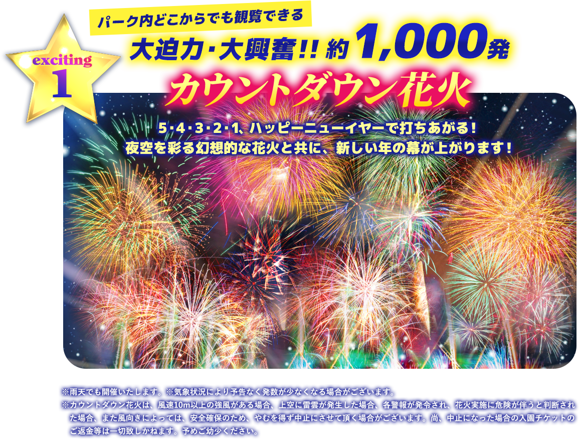 大迫力・大興奮!! 約1,000発 カウントダウン花火