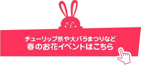 チューリップ祭や大バラまつりなど 春のお花イベントはこちら