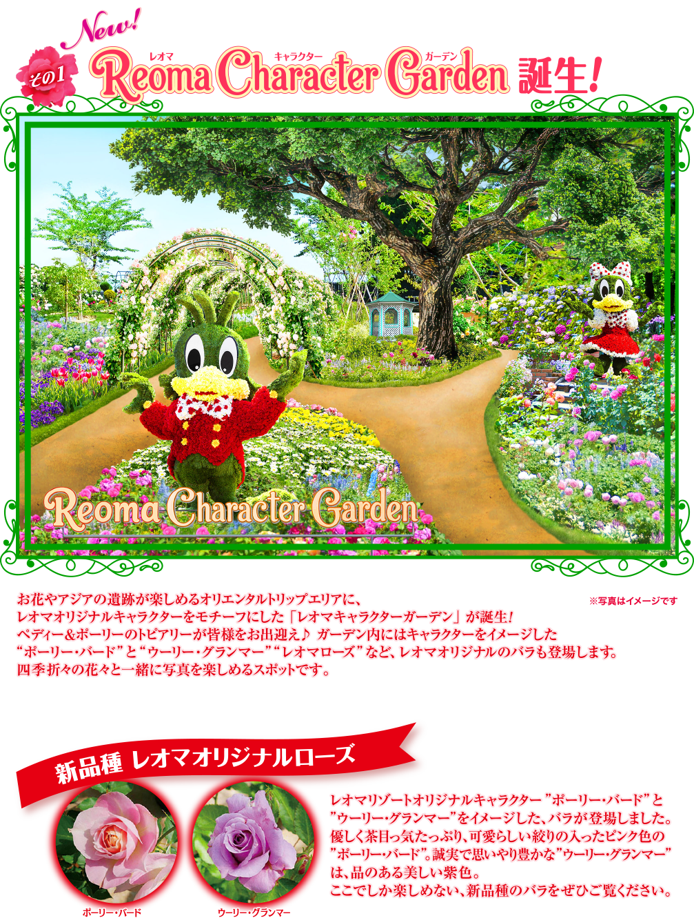 その1 New! Reoma Character Carden 誕生! Reoma Character Garden お花やアジアの遺跡が楽しめるオリエンタルトリップエリアに、 レオマオリジナルキャラクターをモチーフにした「レオマキャラクターガーデン』が誕生! ペディー&ポーリーのトピアリーが皆様をお出迎え♪ ガーデン内にはキャラクターをイメージした ※写真はイメージです “ポーリー・バード”と“ウーリー・グランマー”“レオマローズ”など、レオマオリジナルのバラも登場します。 四季折々の花々と一緒に写真を楽しめるスポットです。 新品種 レオマオリジナルローズ レオマリゾートオリジナルキャラクター 