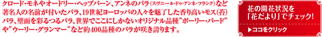クロード・モネやオードリー・ヘップバーン、アンネのバラ(スプニール・ドゥ・アンネ・フランク)など 著名人の名前が付いたバラ、19世紀ヨーロッパの人々を魅了した香り高いモス (贇) バラ、壁面を彩るつるバラ、世界でここにしかないオリジナル品種”ポーリー・バード やウーリー マー”など約400品種のバラが咲き誇ります。 花の開花状況を 「花だより」でチェック! ココをクリック 