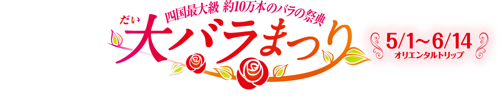 四国最大級 約10万本のバラの祭典 5/1~6/14 オリエンタルトリップ 