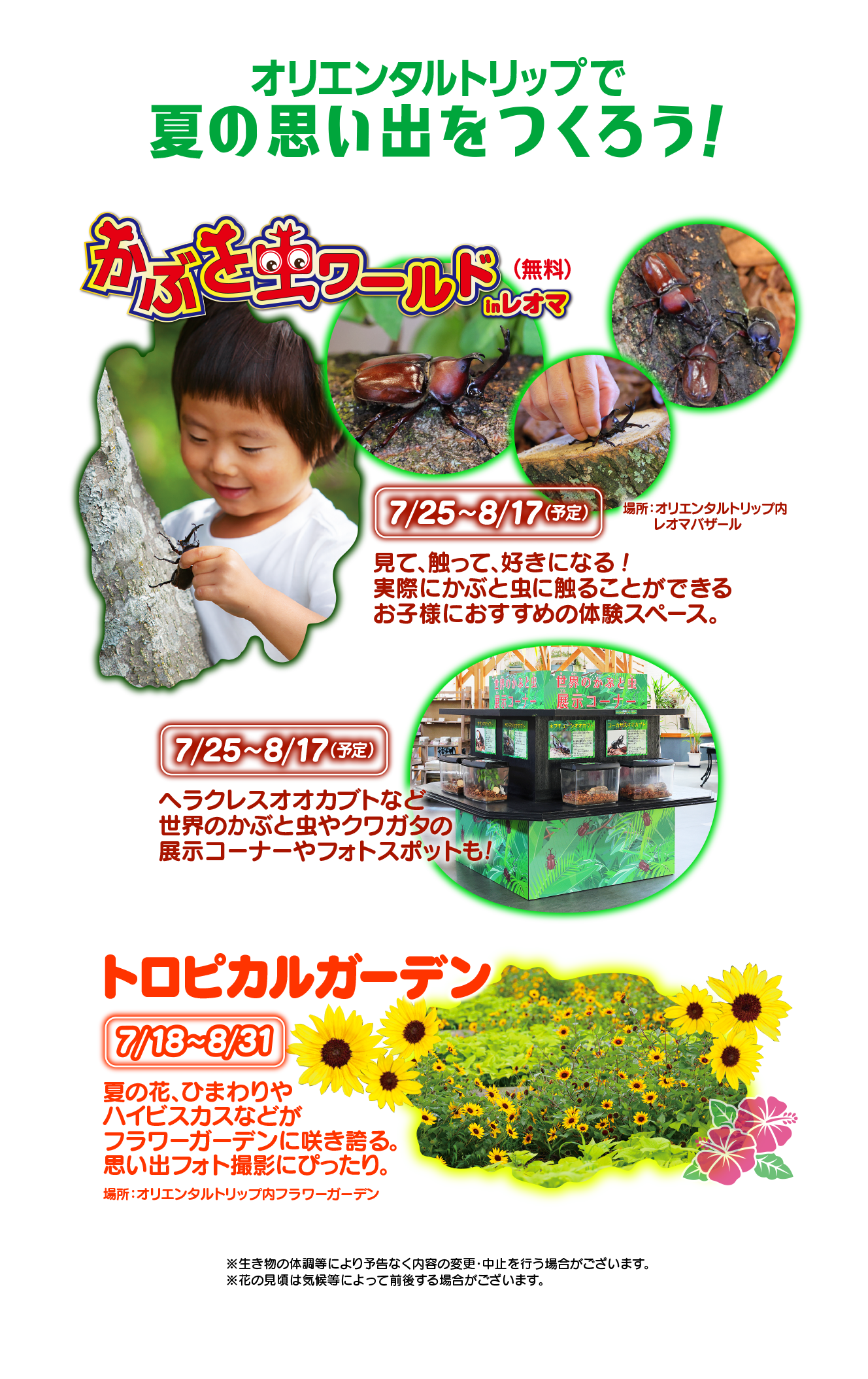 オリエンタルトリップで夏の思い出をつくろう！