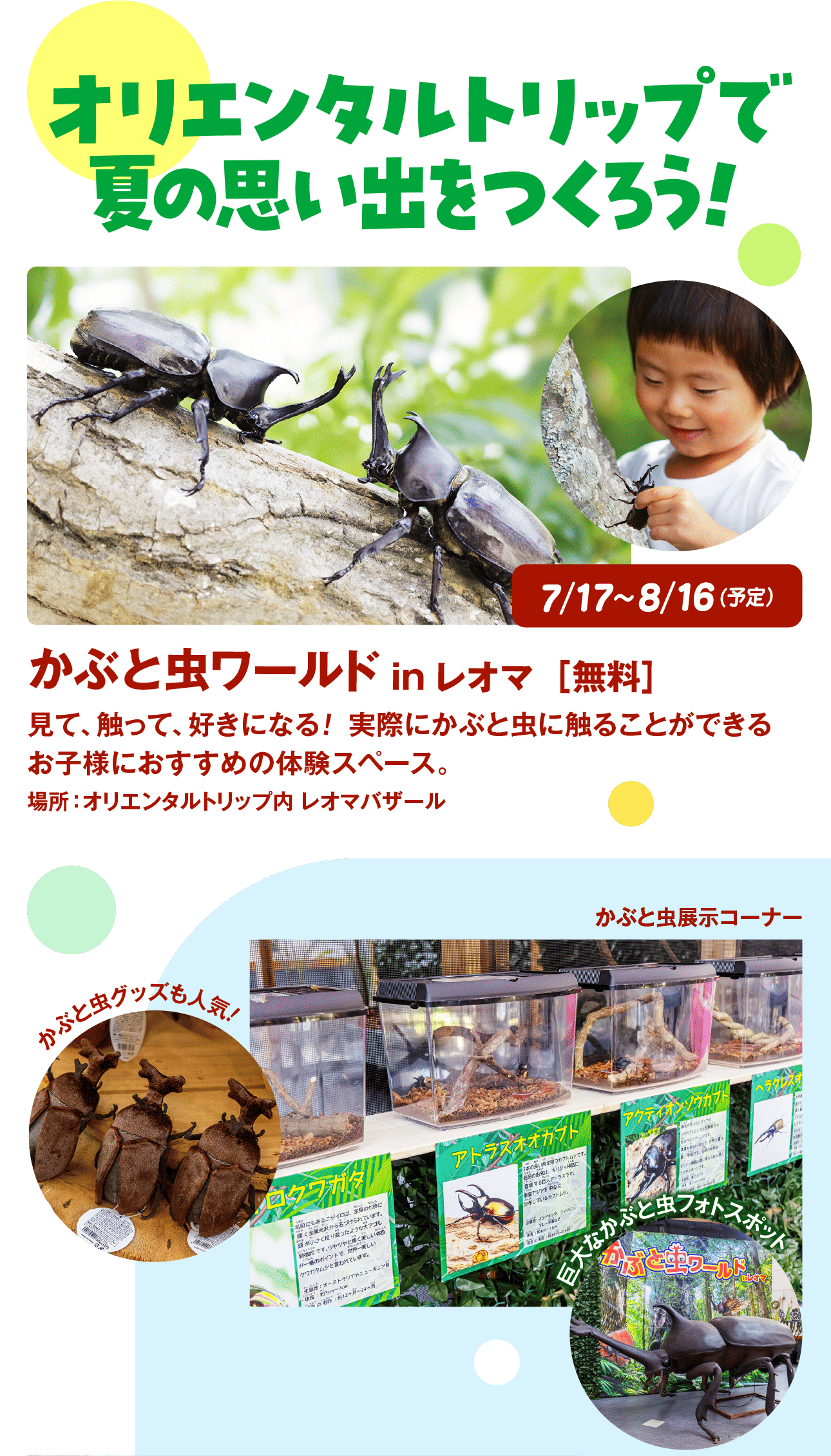 オリエンタルトリップで夏の思い出をつくろう!7/17~8/16 (2)かぶと虫ワールド in レオマ [無料]見て、触って、好きになる! 実際にかぶと虫に触ることができる お子様におすすめの体験スペース。場所:オリエンタルトリップ内 レオマバザールやぶと虫グッズも人かぶと虫展示コーナーアトラスオオカブト名前にもあるニジイロは、全身の色にアクティオンゾウカフト金属光沢から名づけられています。 頭が小さくり返ったようなアゴも です。 ツヤツヤとく美しいが一番のポイントで、世界一美しい クワガタムシと言われています。・生地:オーストラリアやニューギニア18:13cm-7cmカブトムシです。名前の由来は、ギリシャ神話に する巨人アトラスです。ソウカブトとしては世界トムです。東南アジアを中心に しているカブトムシ。です。1ヶ月~2ヶ月トロピカルガーデンインドネシア、フィリピン巨大と虫フォトスポット7/17~8/31夏の花、ひまわりやハイビスカスなどがフラワーガーデンに咲き誇る。 思い出フォト撮影にぴったり。場所:オリエンタルトリップ内フラワーガーデン調等により予告なく内容の変更・中止を行う場合がございます。候等によって前後する場合がございます。売切れとなる場合もございます。オリエンタルトリップとは全国的にも珍しい亜細亜の遺産や建物を忠実に再現したエリア。 季節の木々や花々とともにゆっくりと散策が楽しめます。