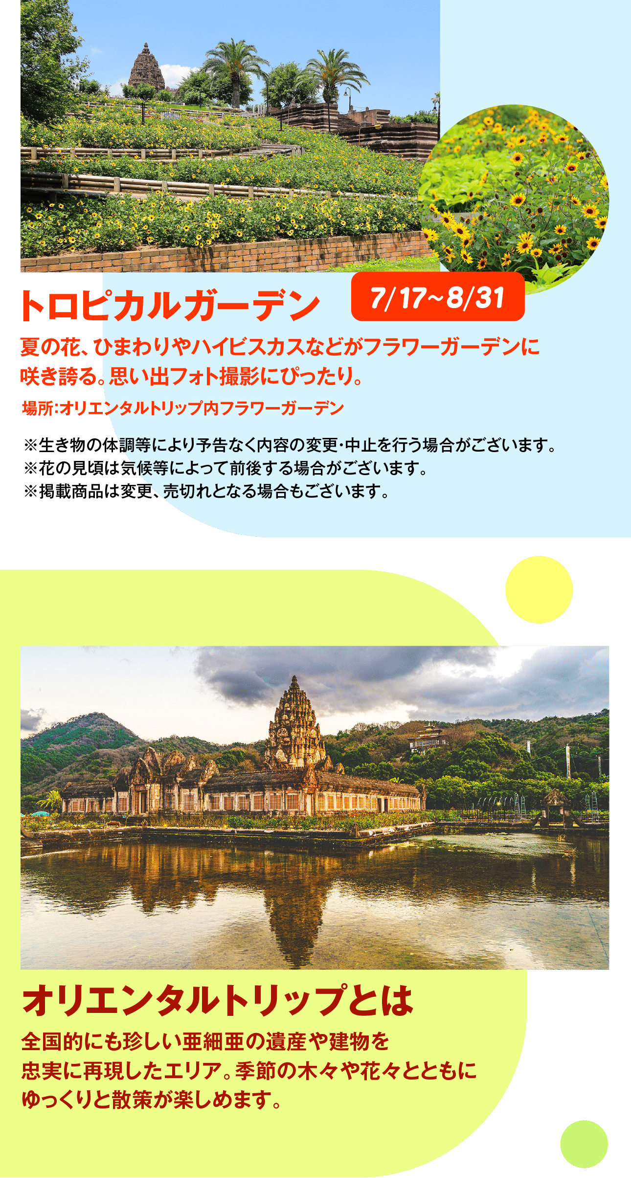 オリエンタルトリップで夏の思い出をつくろう!7/17~8/16 (2)かぶと虫ワールド in レオマ [無料]見て、触って、好きになる! 実際にかぶと虫に触ることができる お子様におすすめの体験スペース。場所:オリエンタルトリップ内 レオマバザールやぶと虫グッズも人かぶと虫展示コーナーアトラスオオカブト名前にもあるニジイロは、全身の色にアクティオンゾウカフト金属光沢から名づけられています。 頭が小さくり返ったようなアゴも です。 ツヤツヤとく美しいが一番のポイントで、世界一美しい クワガタムシと言われています。・生地:オーストラリアやニューギニア18:13cm-7cmカブトムシです。名前の由来は、ギリシャ神話に する巨人アトラスです。ソウカブトとしては世界トムです。東南アジアを中心に しているカブトムシ。です。1ヶ月~2ヶ月トロピカルガーデンインドネシア、フィリピン巨大と虫フォトスポット7/17~8/31夏の花、ひまわりやハイビスカスなどがフラワーガーデンに咲き誇る。 思い出フォト撮影にぴったり。場所:オリエンタルトリップ内フラワーガーデン調等により予告なく内容の変更・中止を行う場合がございます。候等によって前後する場合がございます。売切れとなる場合もございます。オリエンタルトリップとは全国的にも珍しい亜細亜の遺産や建物を忠実に再現したエリア。 季節の木々や花々とともにゆっくりと散策が楽しめます。