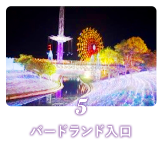 5 バードランド入口