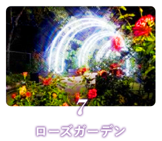 7 ローズガーデン