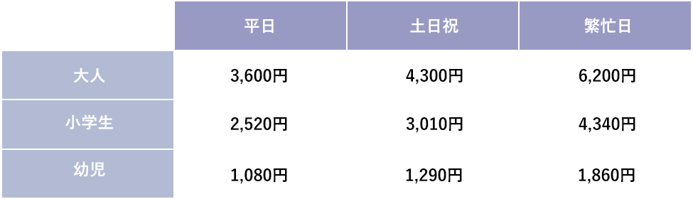 ディナーバイキング（温泉付き）