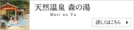 天然温泉 森の湯