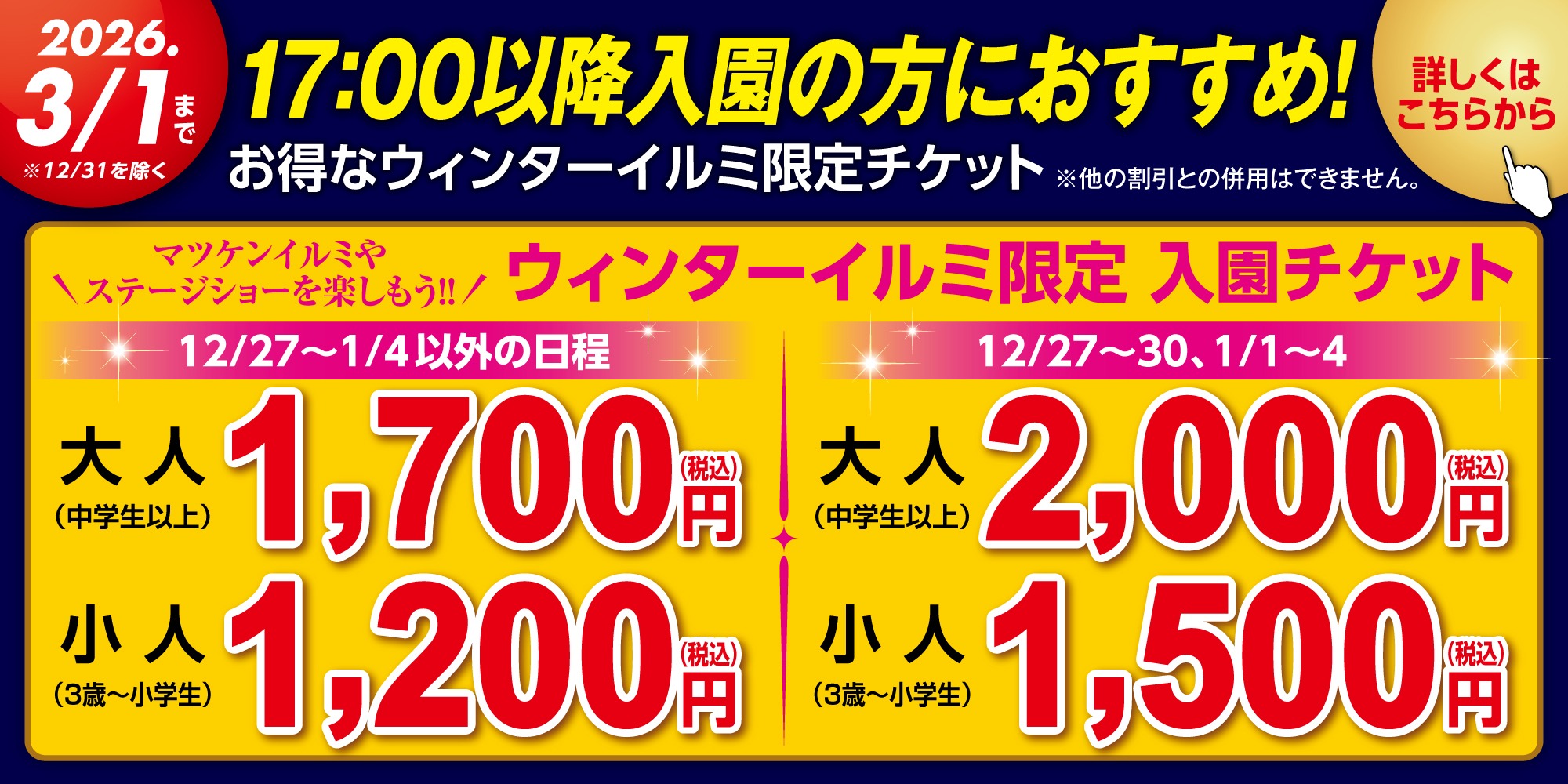 ウィンターイルミ限定チケット