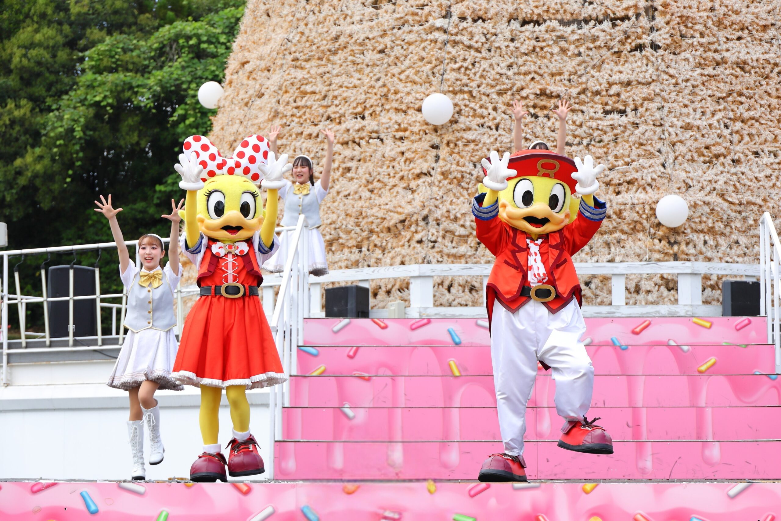 971c48522ed51709d72de921a93d93