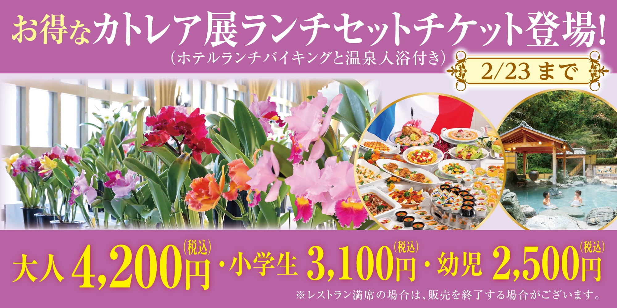 カトレア展ランチセットチケット