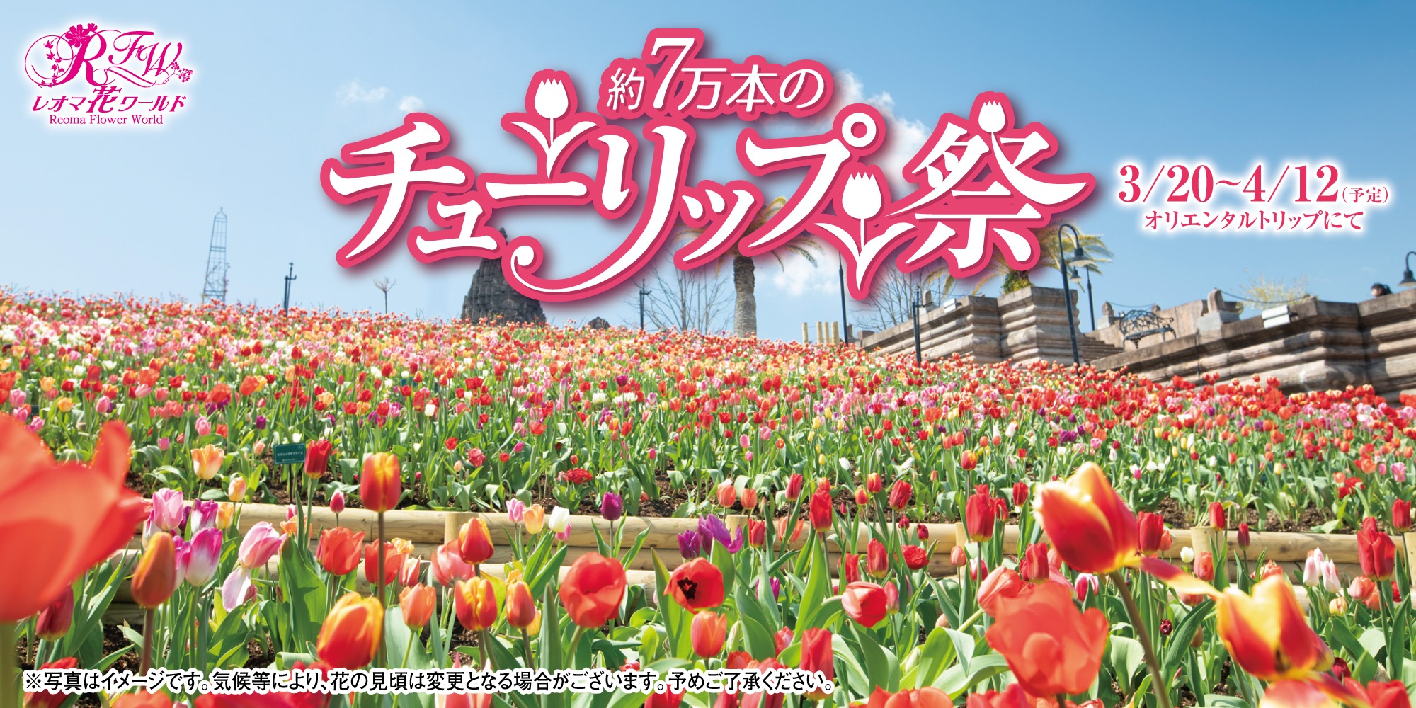 チューリップ祭2026