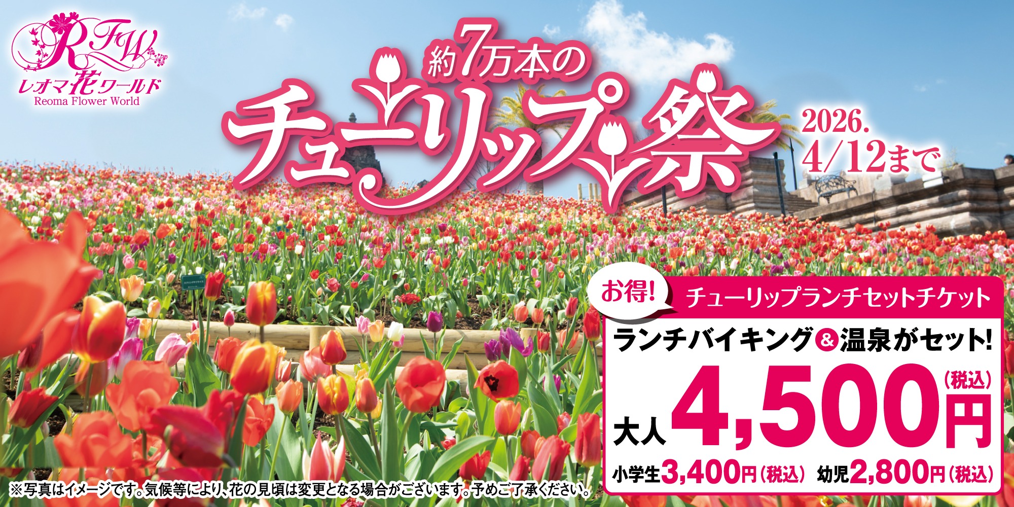 チューリップランチセットチケット（～4/12）